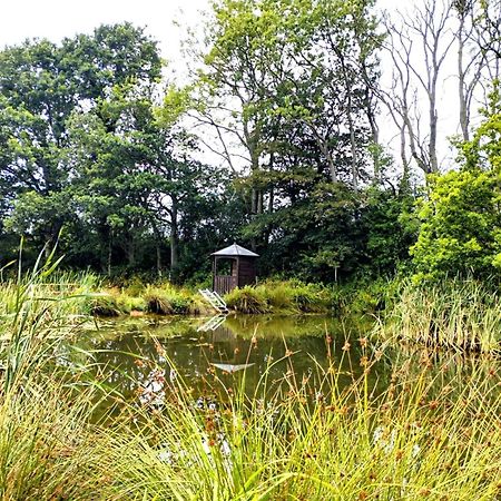 Charming Tranquil Shepherds Hut With Lakeside Balcony 'Roach' アックフィールド エクステリア 写真