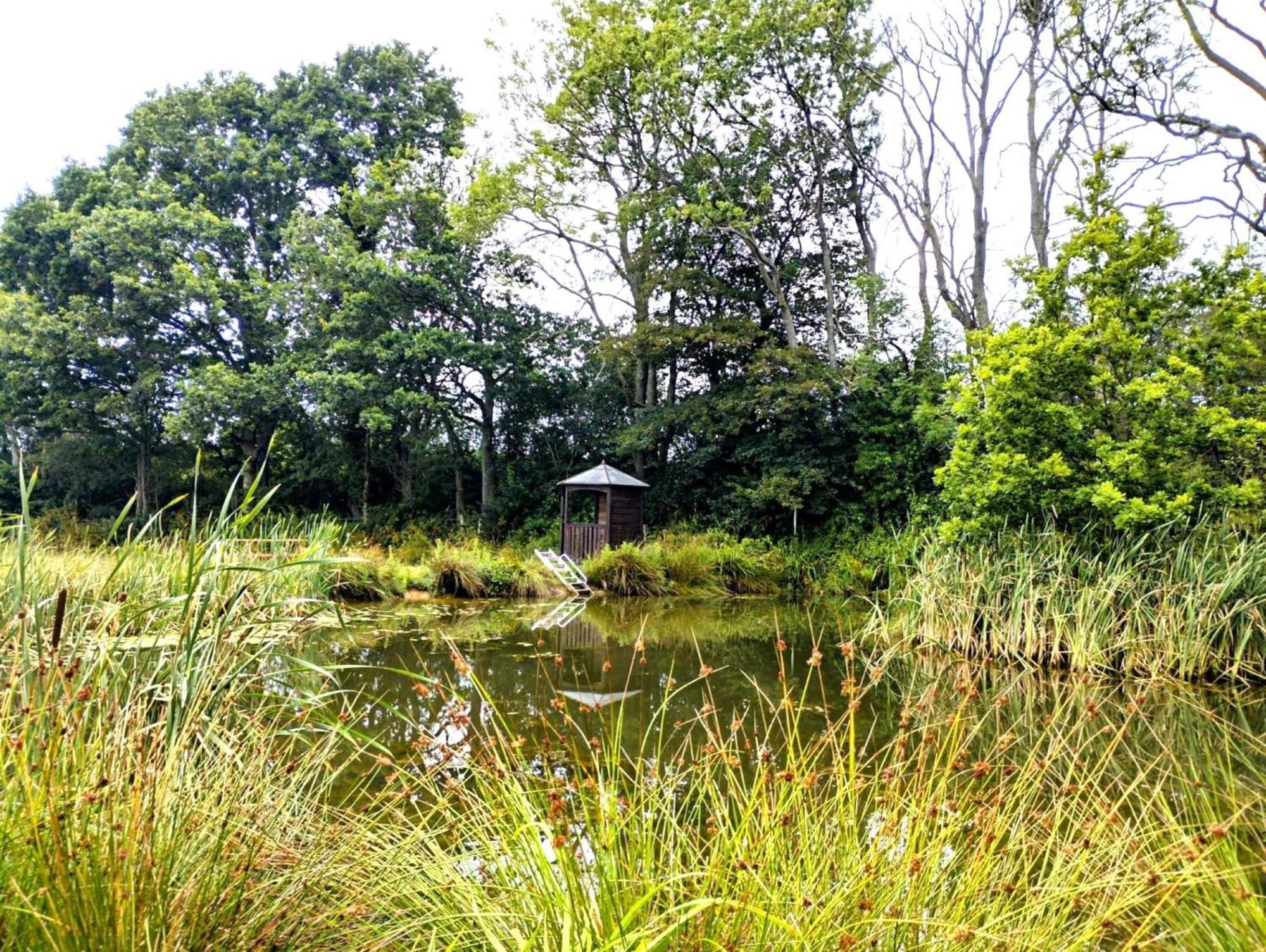 Charming Tranquil Shepherds Hut With Lakeside Balcony 'Roach' アックフィールド エクステリア 写真